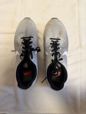 Nike Zoom Pegasus 34